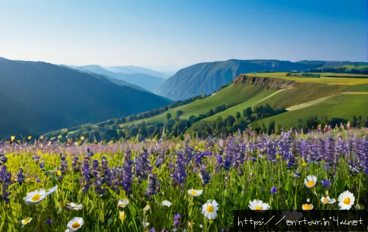 How to Build a Rural Tourism Career After Earning Your Certification 4 농촌관광기획사 자격증 취득 후 성장 관련 이미지 2